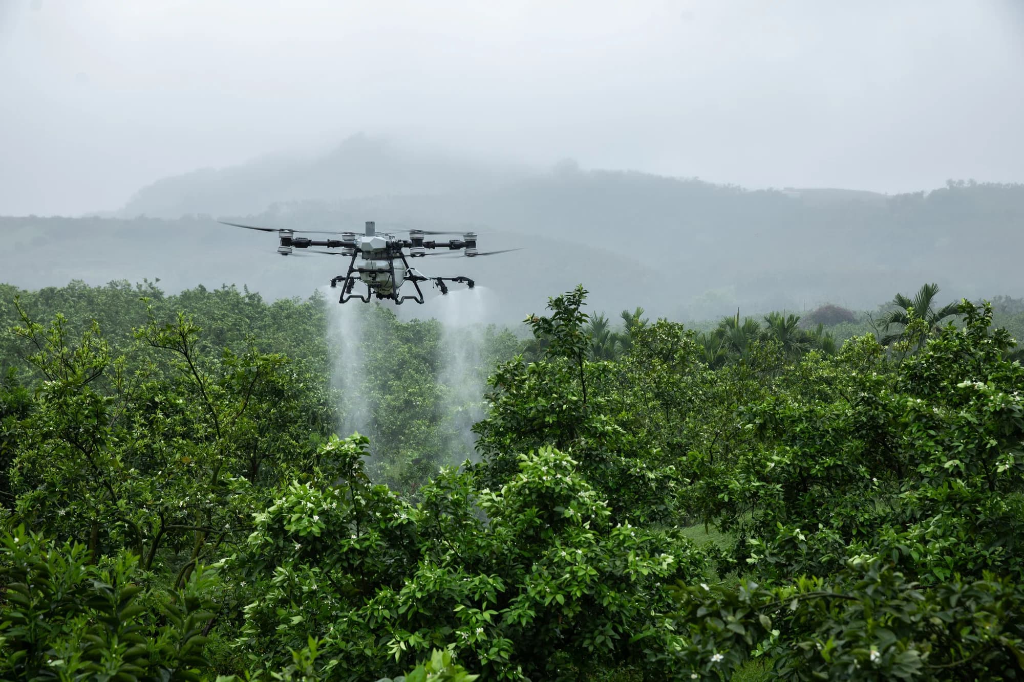 Prskanje voćnjaka dronom: kako funkcioniše tehnologija vazdušnog tretmana